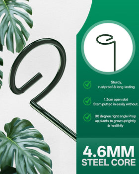 Breeze Touch twist-ties included for securing stems to stakes.