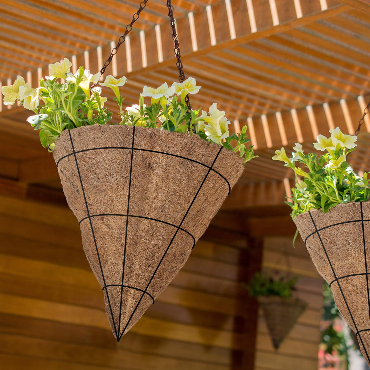 BreezeHug moisture retention promotes balanced watering for plants.