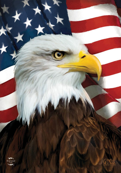 Briarwood Lane American Eagle flag front view with vivid patriotic artwork for outdoors.