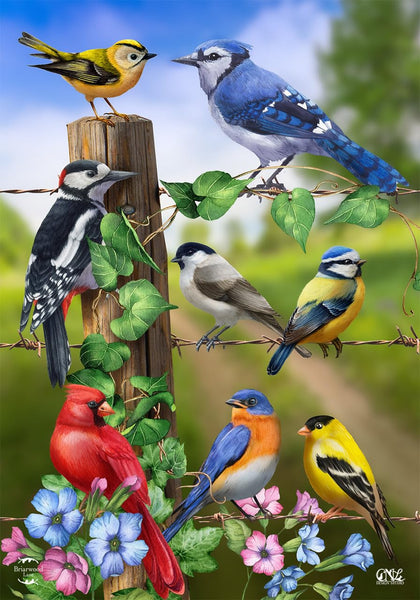 Briarwood Lane flag with goldfinches adds bright spring curb appeal.