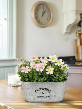 Briful 5-piece set offers versatile hanging planters for herbs