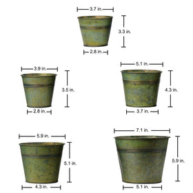 Briful 3.7-inch galvanized planter for compact succulents and herbs.