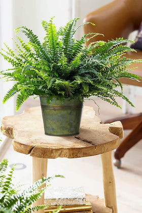 Briful 5.1-inch galvanized planter suitable for leafy greens.