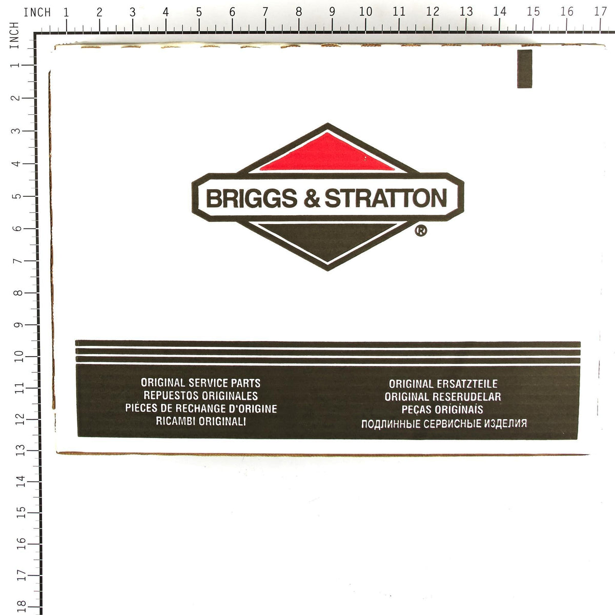 Briggs & Stratton 196006GS hose end connection ready for quick attachment