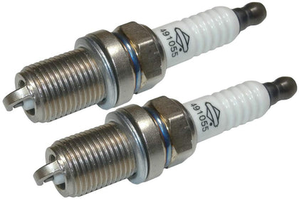 Briggs and Stratton 491055S-2PK spark plugs in packaging, genuine OEM replacement part.