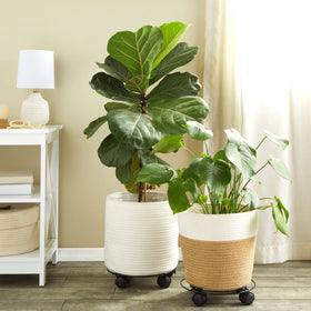 Bright Creations plant stand with wheels featuring a 10.6 inch diameter base