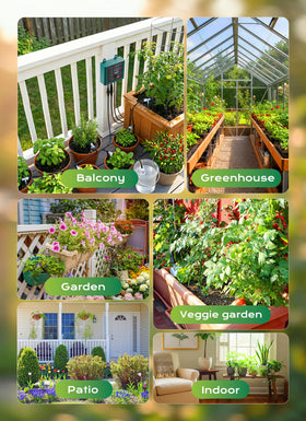 Brightown Solar Drip System indoor outdoor use suitable for patios and greenhouses.