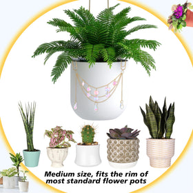 BrightRow gift for plant lovers and decor enthusiasts