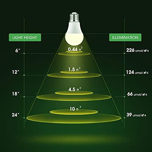 Briignite grow light showing 180-degree beam over a potted herb.