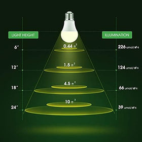 Briignite grow light showing 180-degree beam over a potted herb.