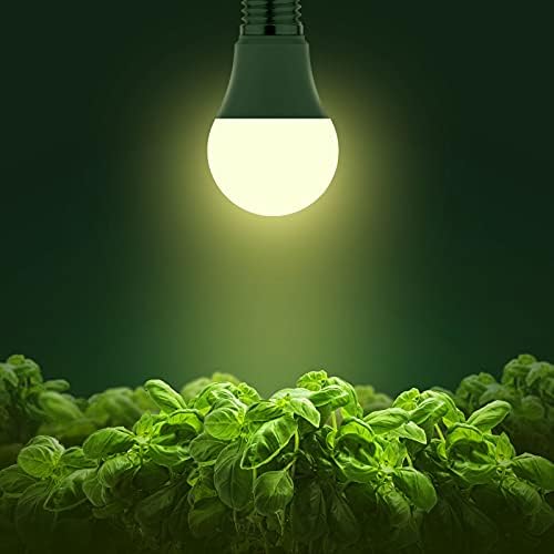 Briignite A19 bulb in a modern lamp base for seed starting.