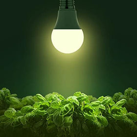 Briignite A19 bulb in a modern lamp base for seed starting.