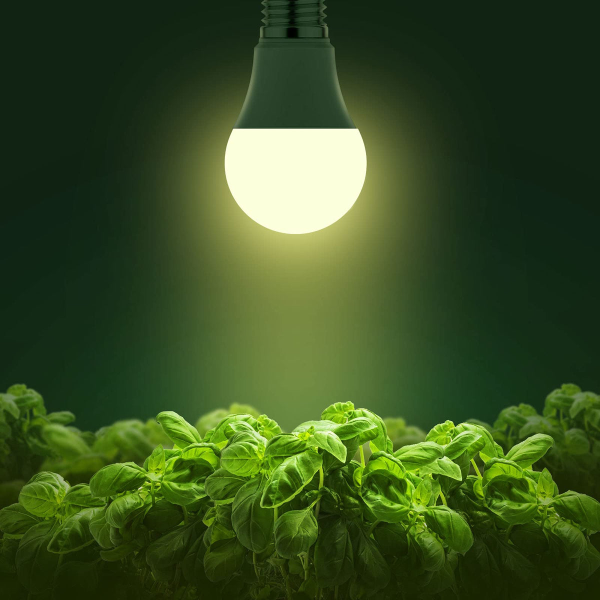 Briignite grow light bulb close-up displaying 1000 lumens for robust indoor plants