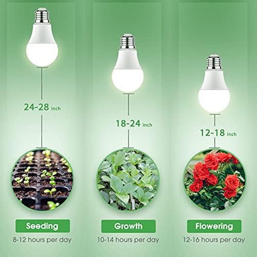 Briignite Grow Light Bulb A19 in action over seedling tray promotes healthy leaves.