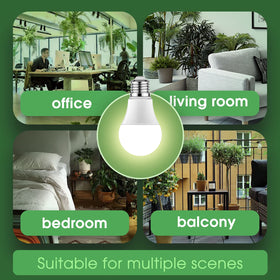 Briignite long-life bulb showcasing up to 25,000 hours of operation