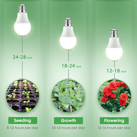 Briignite 4000K natural light color blends with home decor
