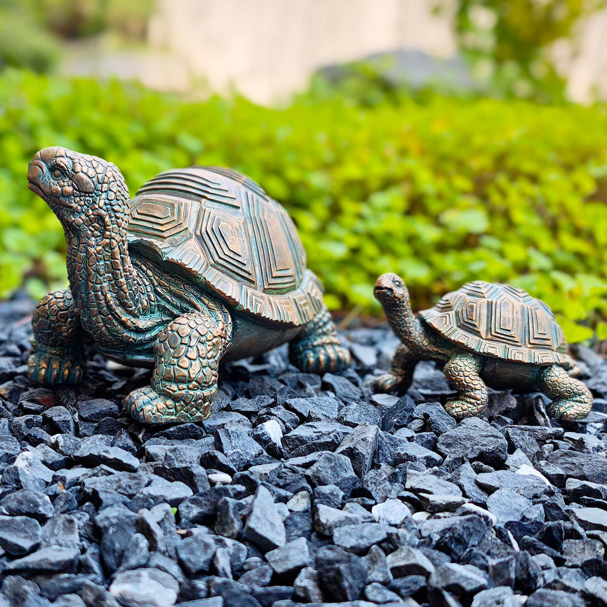 Brilliant Prospect two-piece turtle set makes a thoughtful housewarming gift.