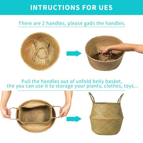BrilliantJo Seagrass Belly Basket in living room setting supports plant styling.