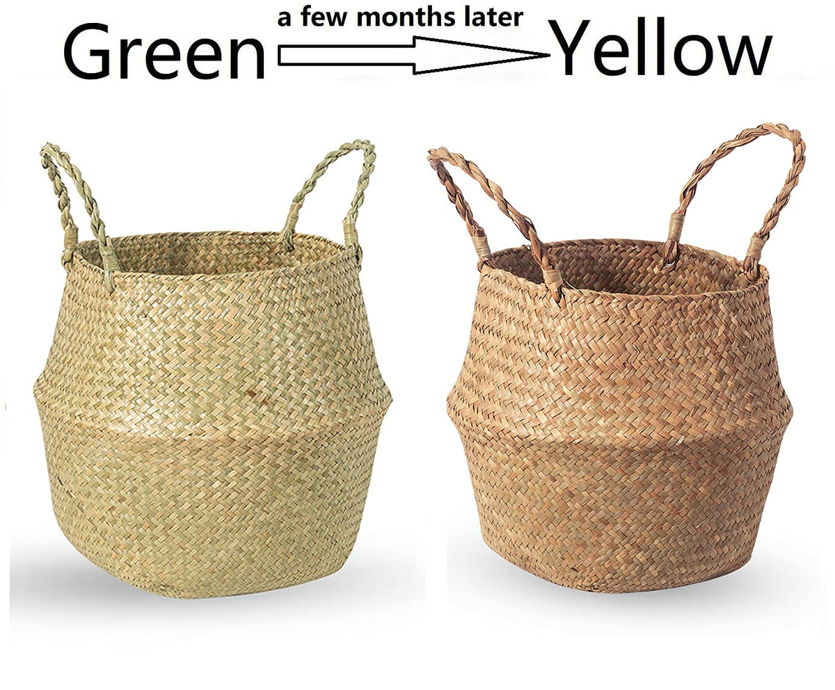 BrilliantJo Seagrass Belly Basket used as picnic or grocery carrier outdoors.