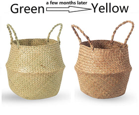 BrilliantJo Seagrass Belly Basket used as picnic or grocery carrier outdoors.