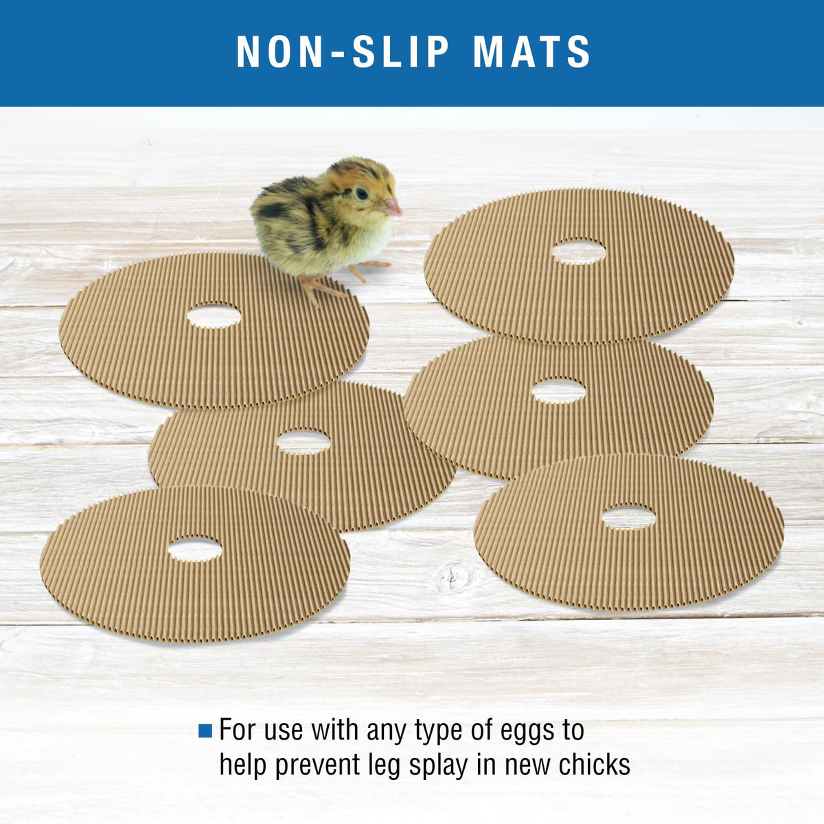 Brinsea disposable hatch mats provide quick, hygienic replacement