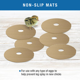 Brinsea disposable hatch mats provide quick, hygienic replacement