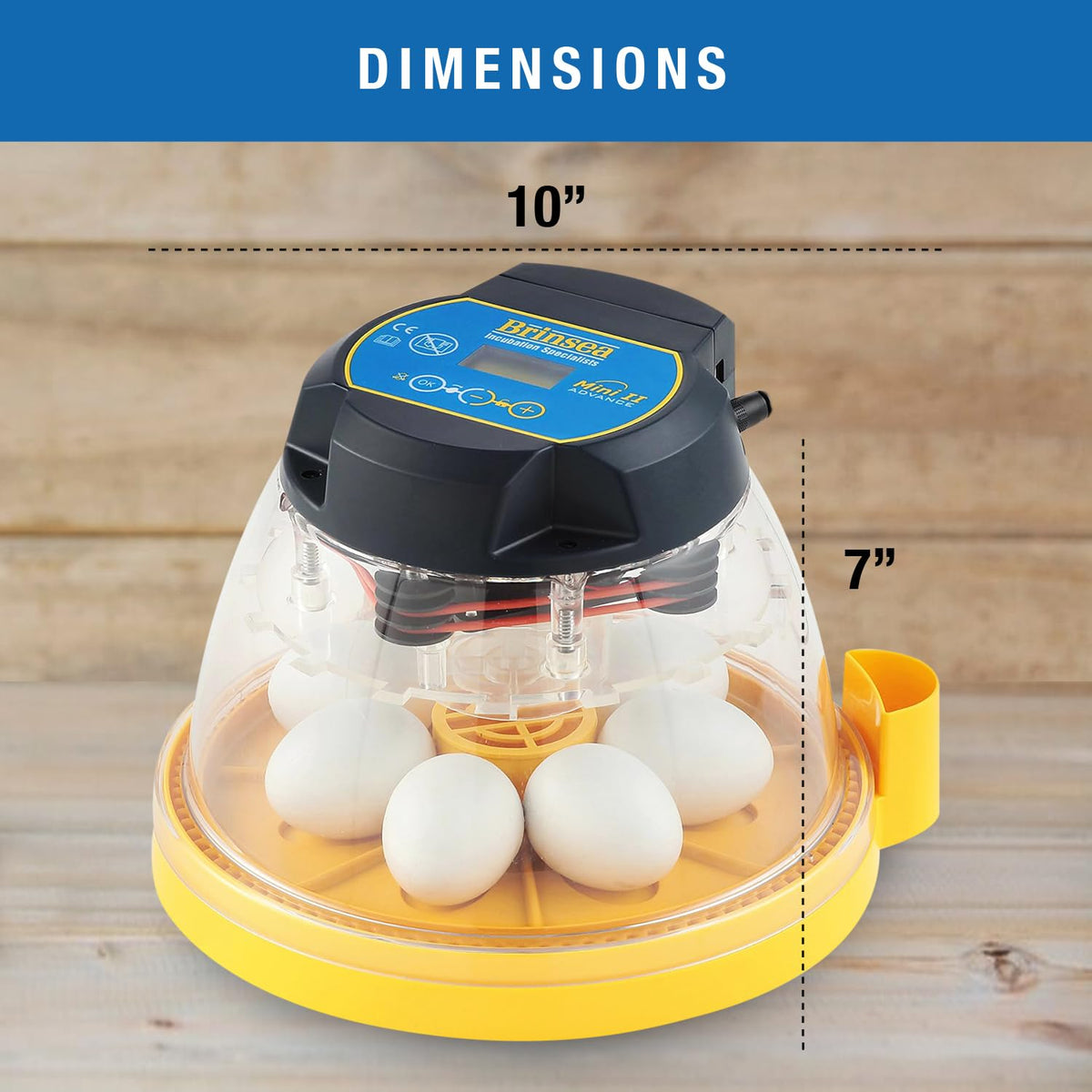 Brinsea Mini II Advance 7-egg disk for standard clutch capacity