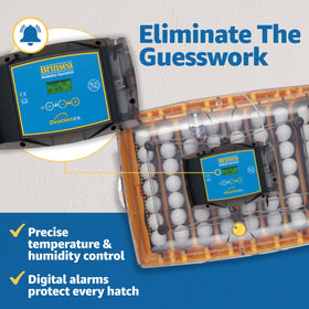 Brinsea Ovation 56 EX automatic humidity control maintains stable moisture.