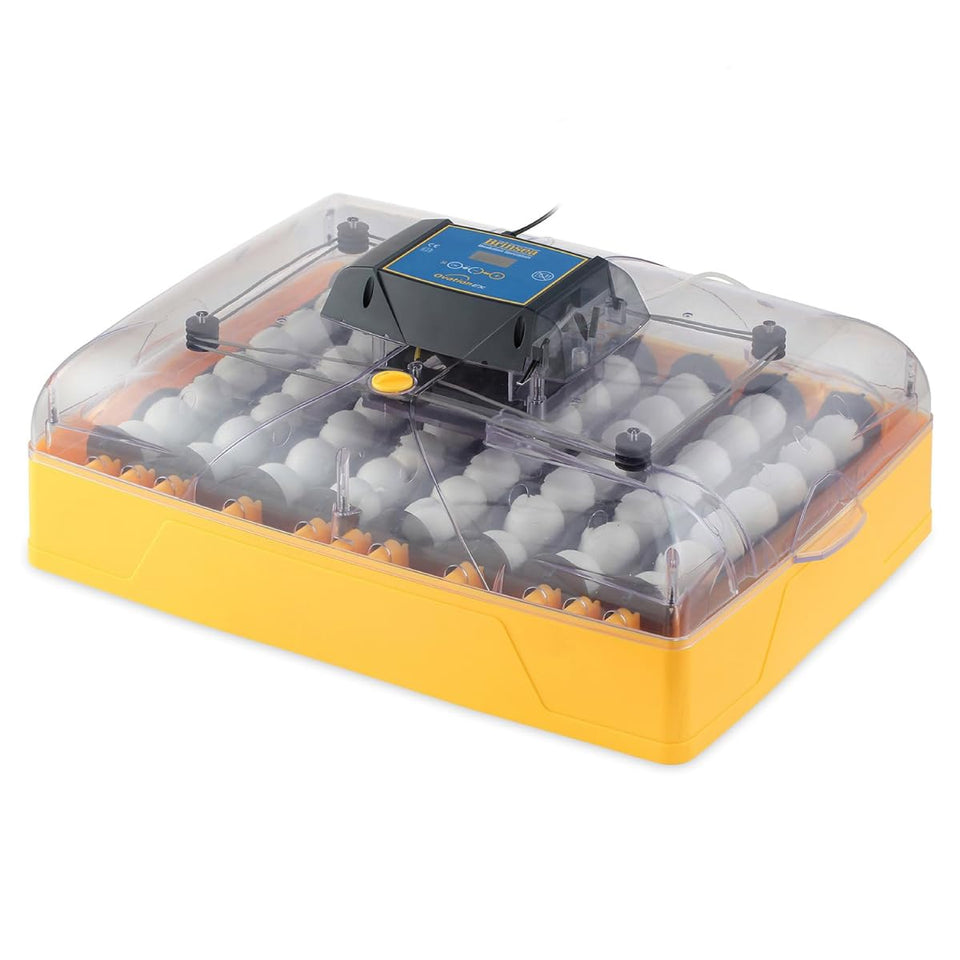 Brinsea Ovation 56 EX digital control panel for precise incubation monitoring.