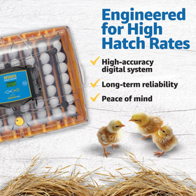 Brinsea Ovation 56 EX Induced Dual Airflow delivering consistent hatch conditions.