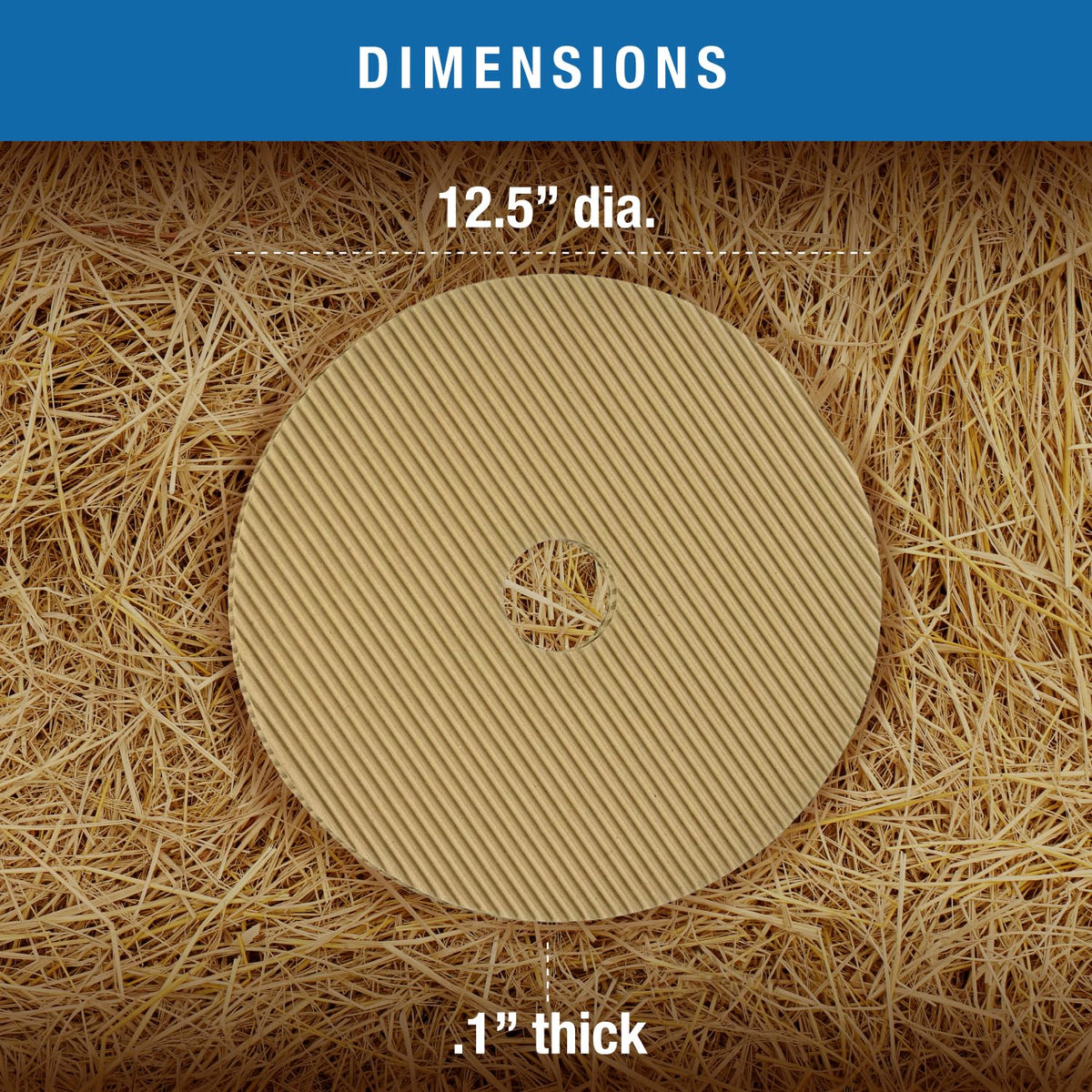 Brinsea surface grip for chick hatching supports safe first steps