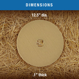 Brinsea surface grip for chick hatching supports safe first steps