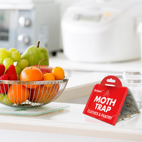 Briteen closet application with traps on shelf for clothes moth protection
