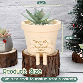 Briwooody face-swing planter close-up highlights a playful design for desks.