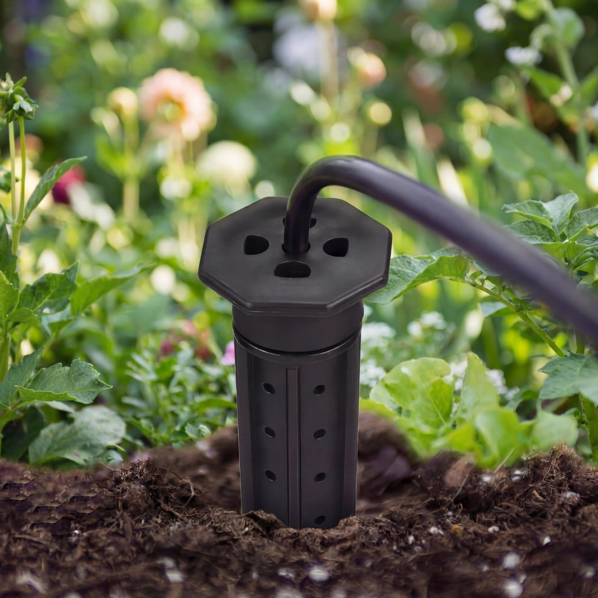 Briwooody nutrient-cap planter insert delivers essential nutrients straight to the roots.