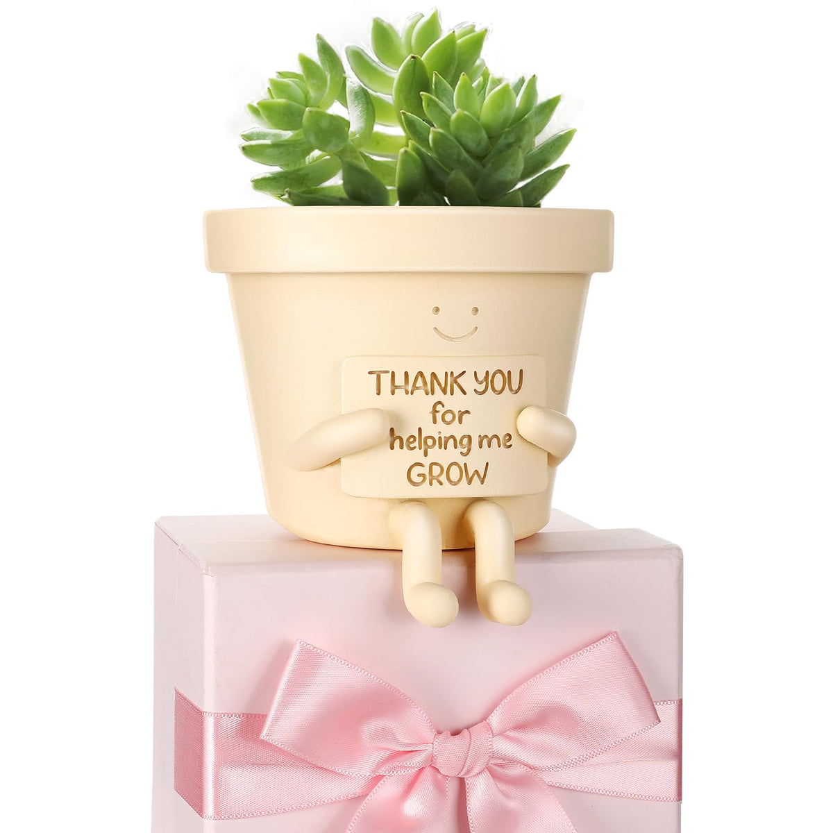 Briwooody sitting pot 3.9-inch planter for succulents on a desk.