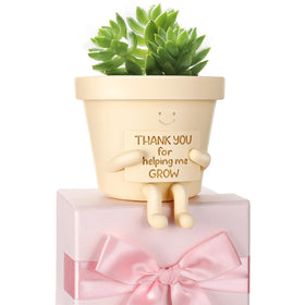 Briwooody sitting pot 3.9-inch planter for succulents on a desk.