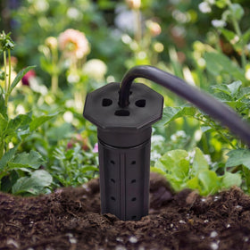 Briwooody stake delivering water to the root zone near trees and shrubs