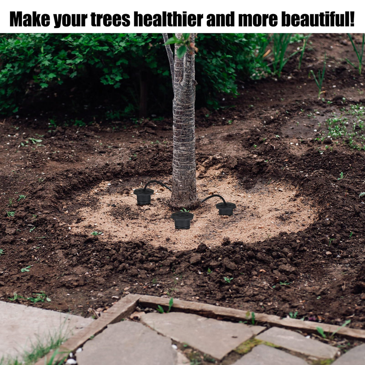 Briwooody garden stake helps save water and nourish plant roots.