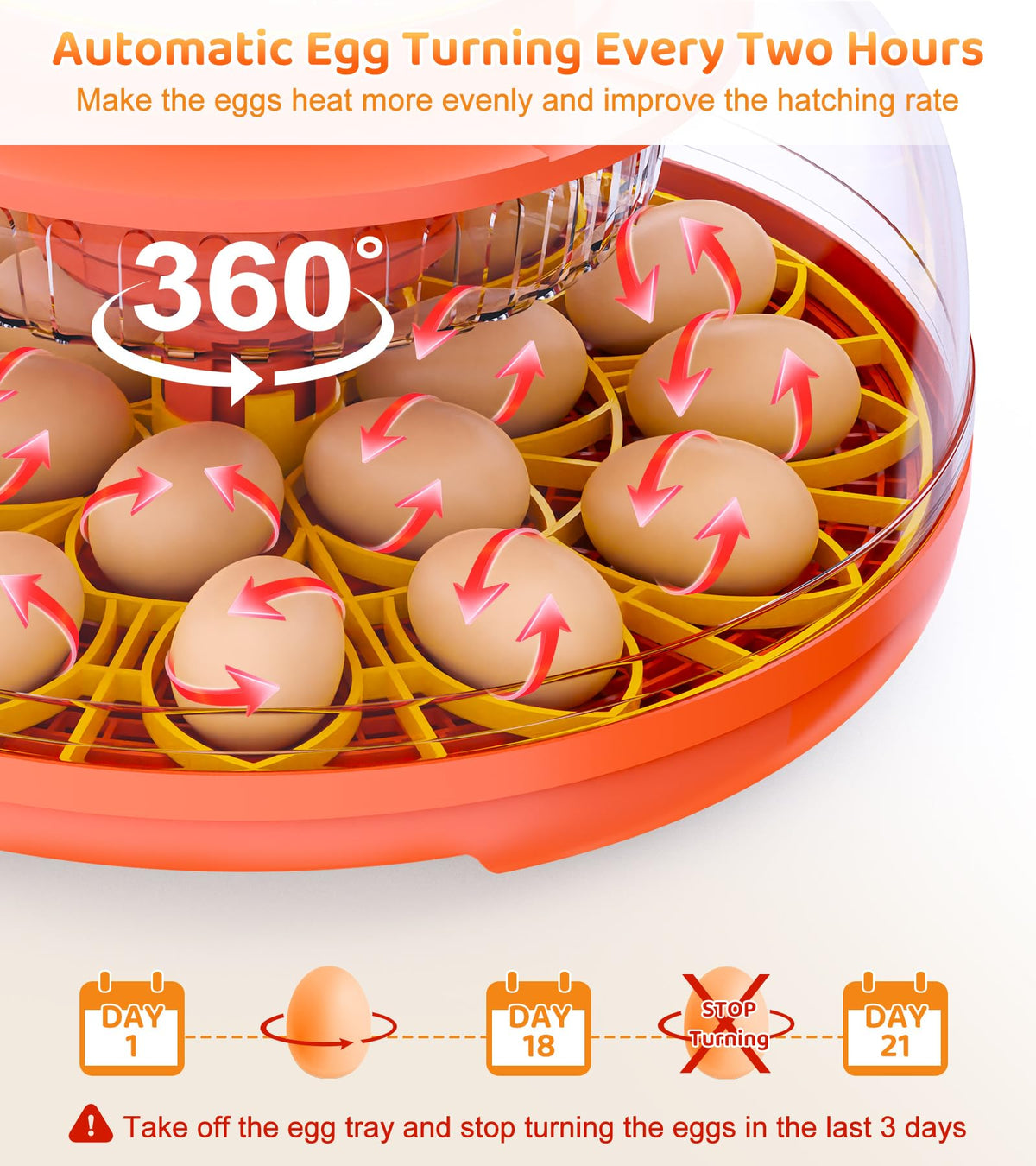 Brnvl 360° candling view for fertility monitoring