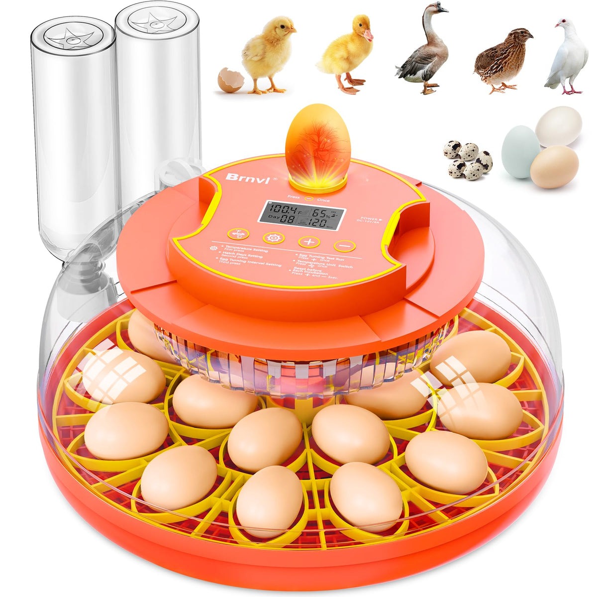 Brnvl 18-egg incubator front view for compact home hatching setups