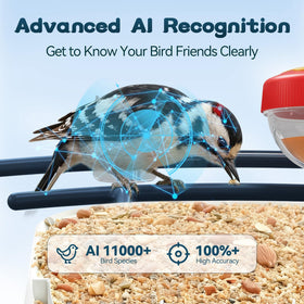 Broaimx AI species identification highlights 11,000+ birds for educational viewing.