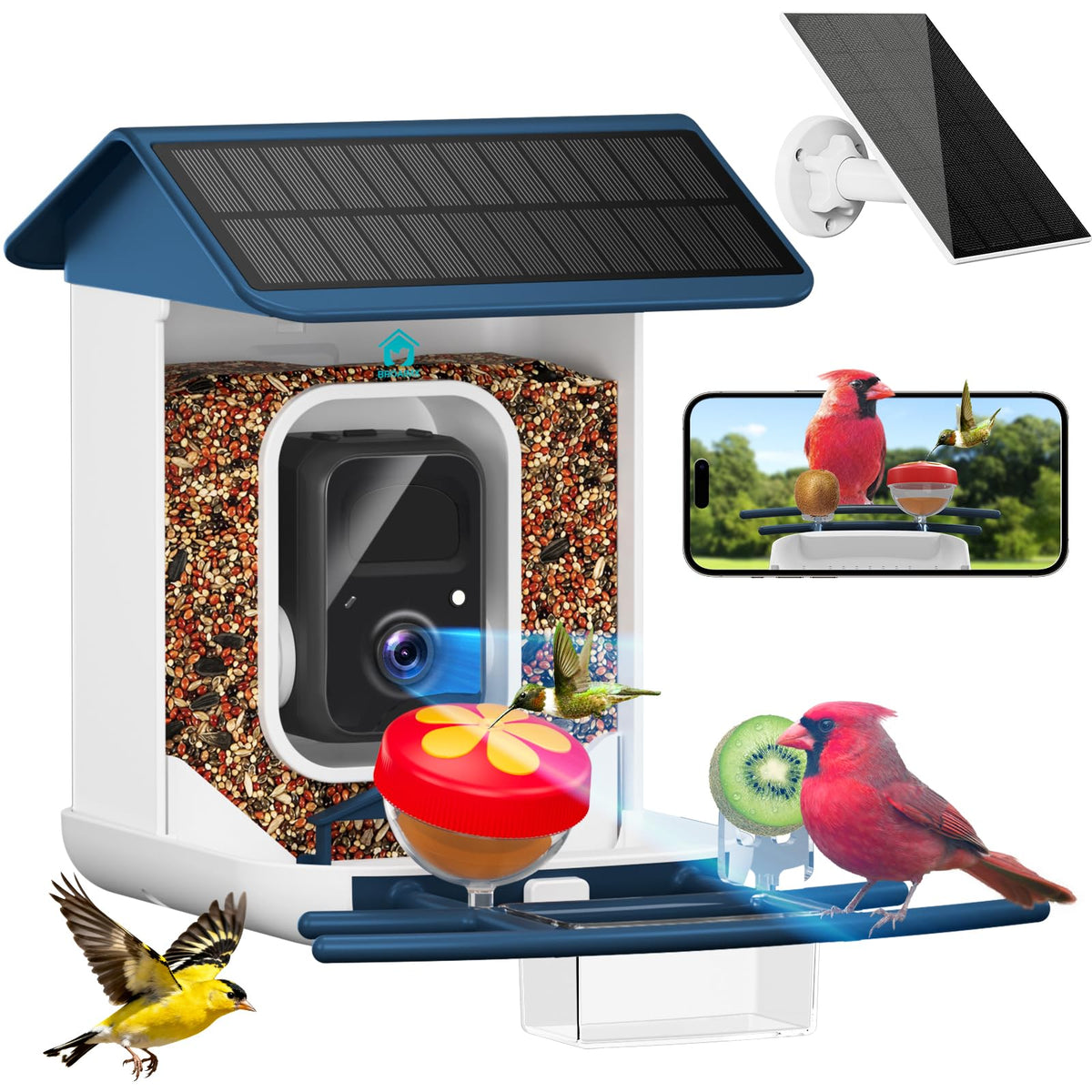 Broaimx smart bird feeder camera captures crisp 2K video for birdwatching.