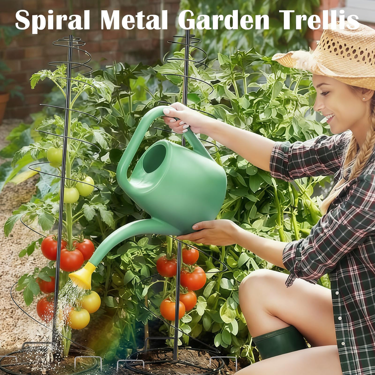 BrownKnot spiral trellis vertical design adds elegant, space-saving garden appeal.