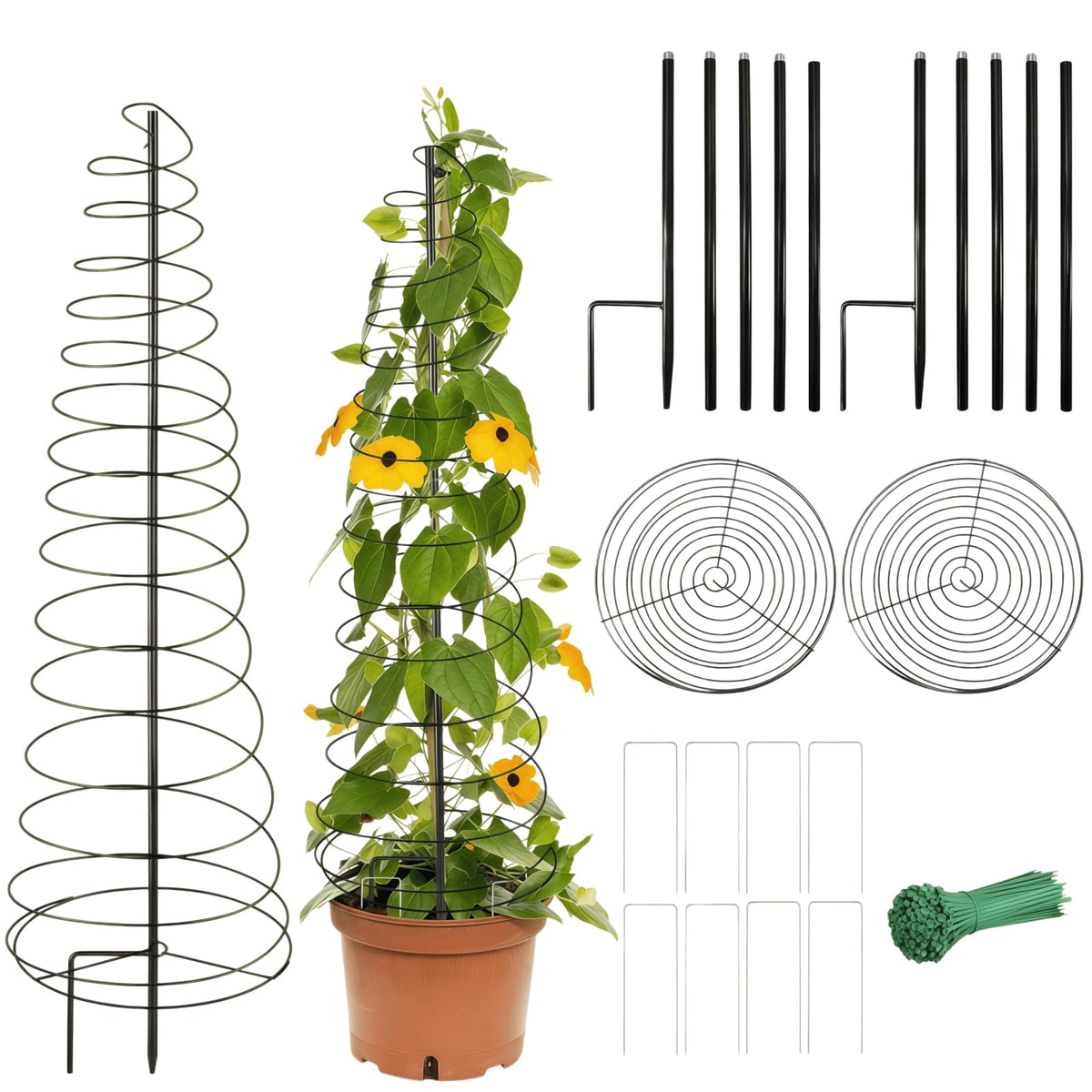 BrownKnot spiral trellis assembly enables quick setup for flexible plant support.