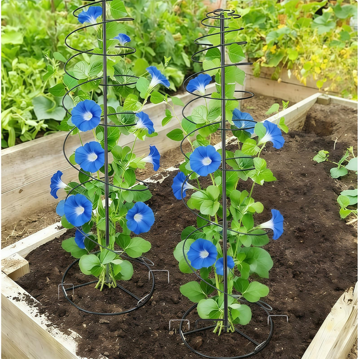 BrownKnot spiral trellis rust-resistant coating protects outdoor garden use.