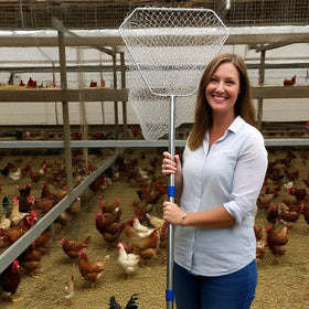 BRZFWLMYDF detachable nets for chicken trap—versatile setup for various poultry catching tasks.