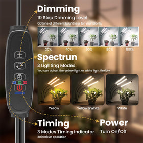 Bseah auto timer feature showing on/off cycle setup