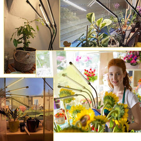 bseah dimmable modes and switch options for personalized lighting
