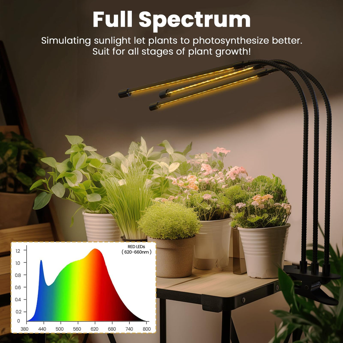 Close-up of Bseah full spectrum LEDs delivering balanced light